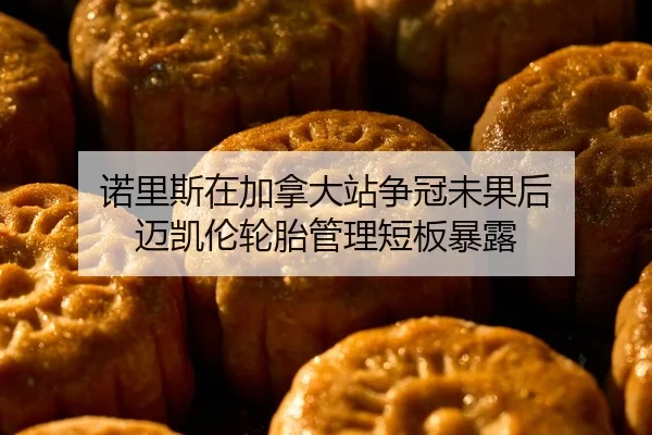 nuo-li-si-zai-jia-na-da-zhan-zheng-guan-wei-guo-hou-mai-kai-lun-lun-tai-guan-li-duan-ban-bao-lu-1-317.jpg