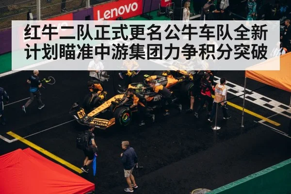 F1 pit stop strategy